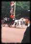 Trooping the Colour 6